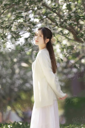 秘密新婚，总裁爱妻极致